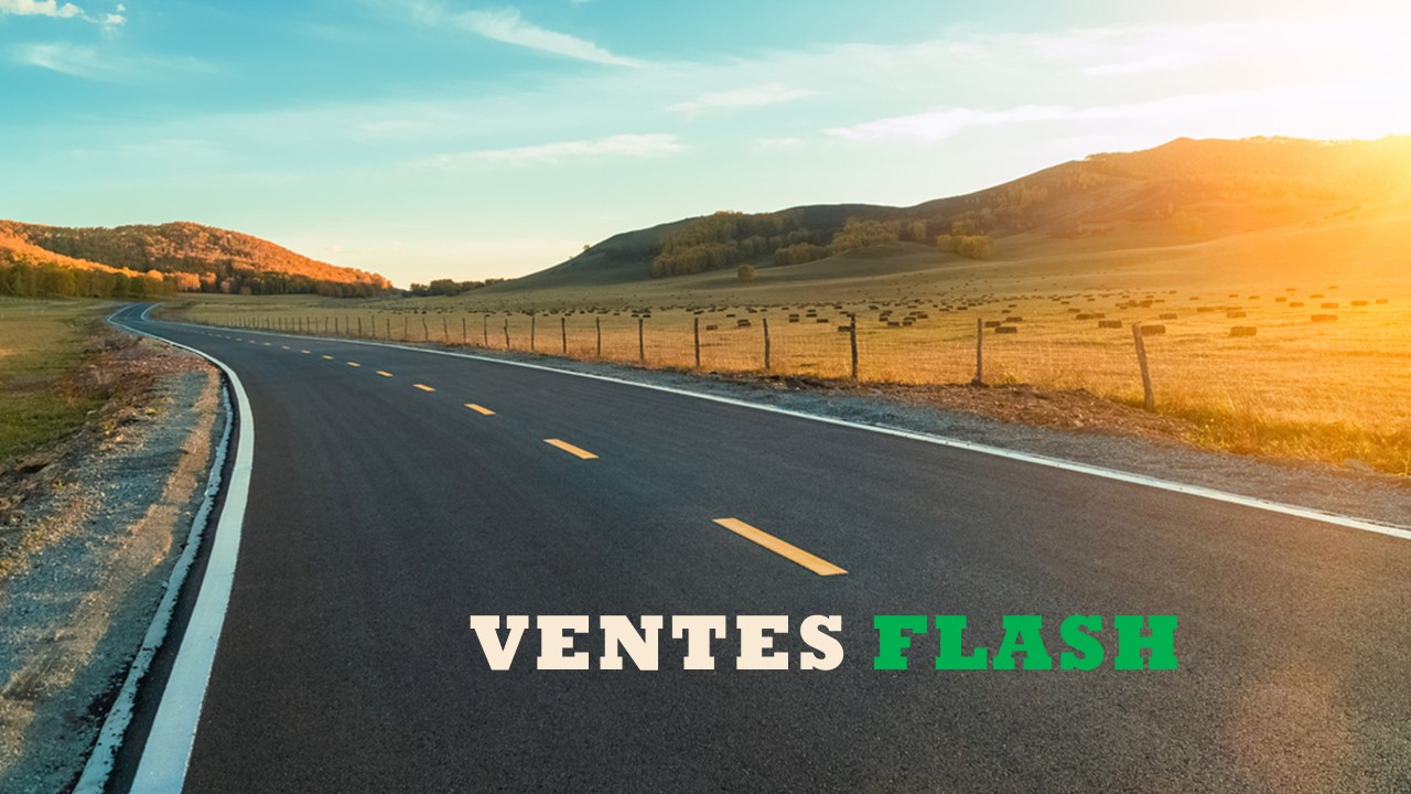 Offer Flash